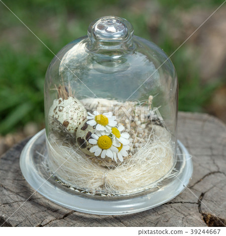 Eco bouquet of feathers and chamomile 39244667