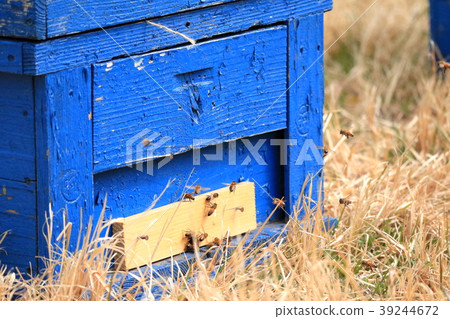 Beekeeping box 39244672