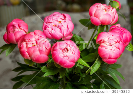 Bouquet of pink peony. Floral pattern 39245853