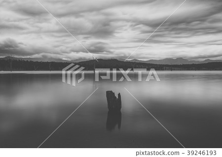 Lake Moogerah in Queensland 39246193