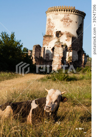 The ruins of an old castle in Chervonograd The ruins of an old castle in Chervonograd 39247306