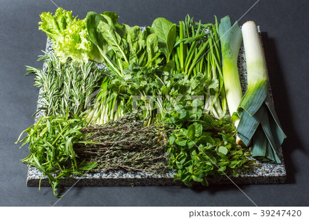Various fresh greens with lettuce, mint, parsley Various fresh greens with lettuce, mint, parsley 39247420