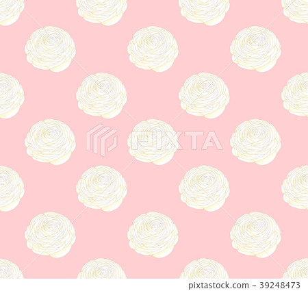 White Ranunculus on Pink Pastel Background 39248473