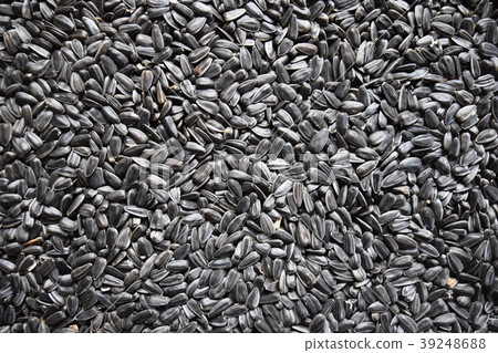 Black sunflower seeds. Sunflower seeds background. Black sunflower seeds. Sunflower seeds background. 39248688