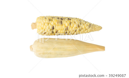 Fresh waxy corn on a white background. 39249087