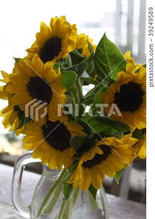 Sunflower yellow yellow bouquet present summer flower 39249569