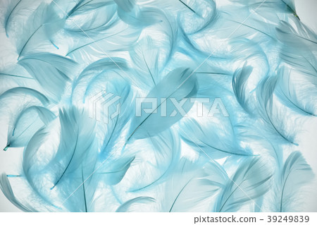 藍色羽毛透明光 39249839