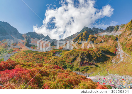 Fall dawn of autumn Fall dawn of autumn 39250804