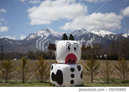 Yatsuren Yatsugatake 39250960