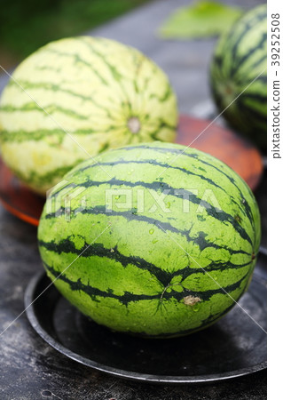 watermelon entirely, photo rustic style watermelon entirely, photo rustic style 39252508