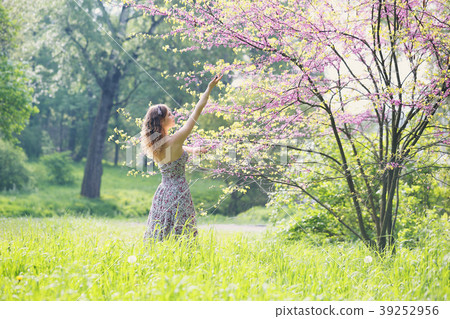 woman under a blossoming tree woman under a blossoming tree 39252956