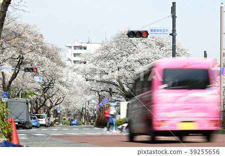 Tokyo cityscape of Japan Sakura of Harima slope 39255656