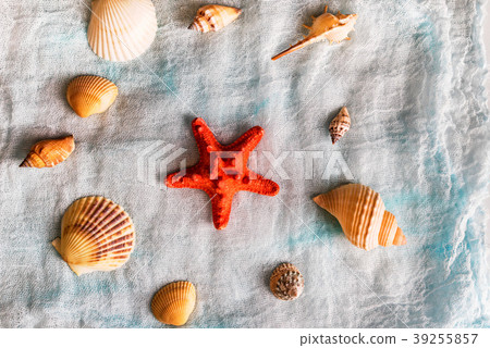 Seashells and starfish on white cloth background 39255857