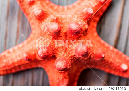 Dried red sea starfish on wooden background 39255910