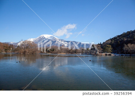 Ibukiyama&Mishima池塘冬天2 Ibukiyama&Mishima池塘冬天2 39256394