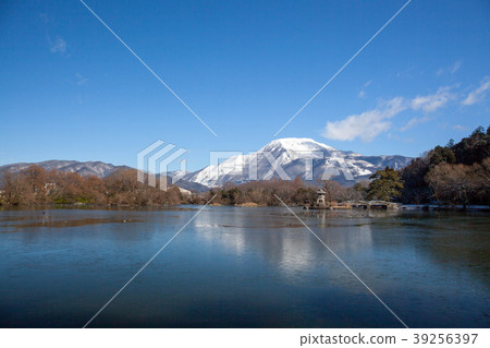 Ibukiyama＆Mishima池塘冬天5 39256397