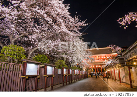 Senso-ji Temple Sakura 39257059