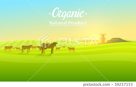 Rural landscape and cows. Farm Agriculture. Vector - Stock Illustration ...
