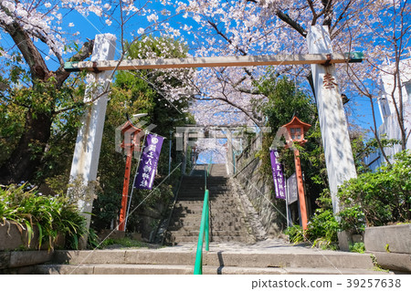 Chikudo Hachiman Shrine Spring 39257638