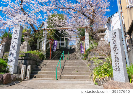 Chikudo Hachiman Shrine Spring 39257640