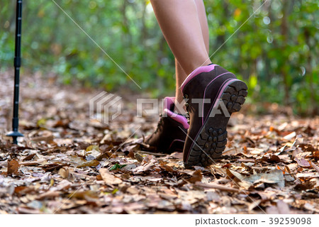 Close-up of female hiker feet and shoe walking Close-up of female hiker feet and shoe walking 39259098