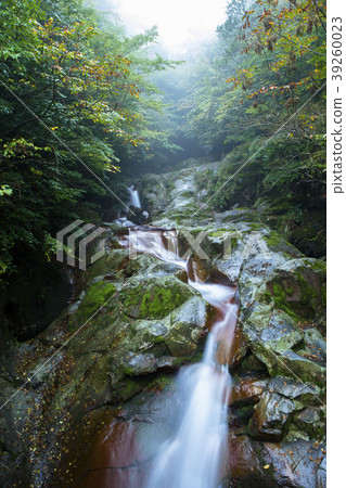 Seven Falls Waterfall Seven Falls Waterfall 39260023