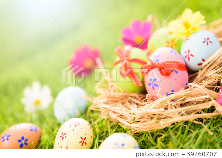 Closeup Colorful Easter eggs in nest Closeup Colorful Easter eggs in nest 39260707