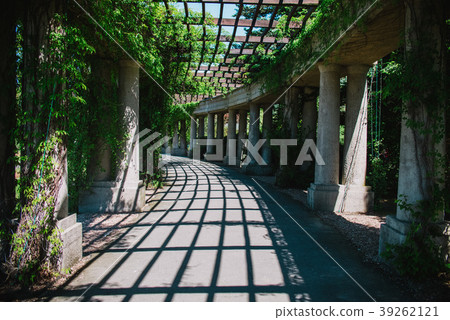 Inside the Pergola park in Wroclaw, Poland 39262121