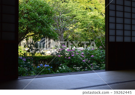 日式客房和繡球花 日式客房和繡球花 39262445