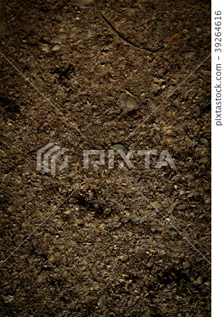Fear deciduous soil soil autumn nature landscape 39264616