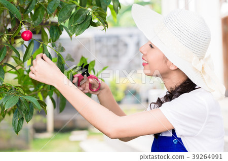 Side view portrait of young Asian woman pruning Side view portrait of young Asian woman pruning 39264991