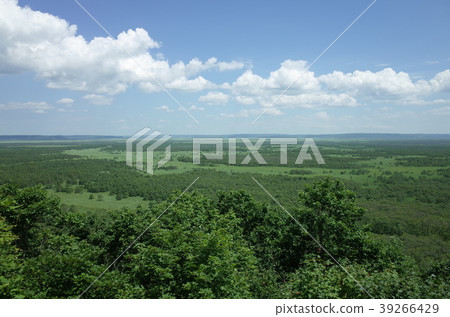 夏天的釧路濕地_北海道 39266429