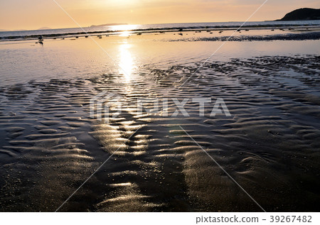 Seaside landscape 39267482