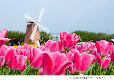 令人愉快的香,玫瑰花,甜花,草本香,香,深紅色的花,紫香 令人愉快的香,玫瑰花,甜花,草本香,香,深紅色的花,紫香 39268286