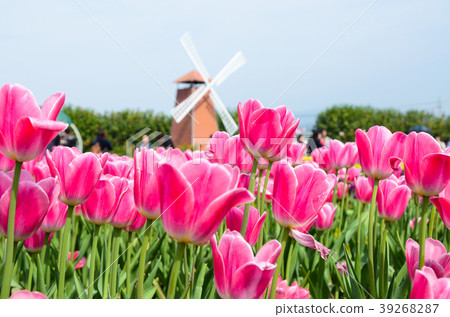 令人愉快的香,玫瑰花,甜花,草本香,香,深紅色的花,紫香 令人愉快的香,玫瑰花,甜花,草本香,香,深紅色的花,紫香 39268287