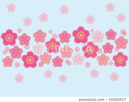 Cherry Blossoms	 39269457