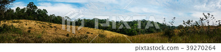 landscape of Meadow with tree ,in Thailand landscape of Meadow with tree ,in Thailand 39270264