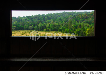 landscape of  Meadow with tree ,in Thailand 39270280