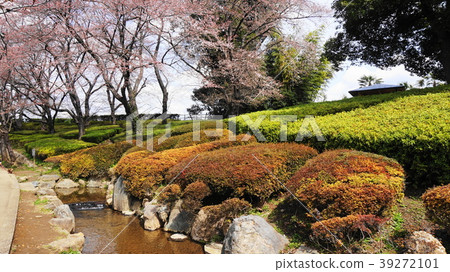 Ageo Maruyama Park春天的景色 Ageo Maruyama Park春天的景色 39272101