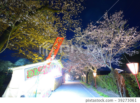 Mother cherry blossoms park night cherry blossoms 39273061