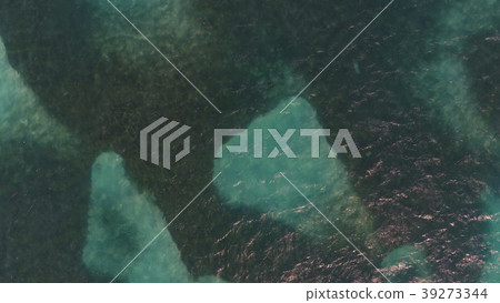 Sea with yachts on top 39273344