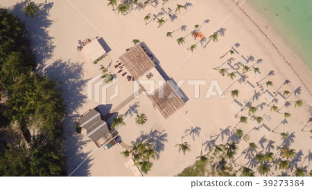 View of the beach with palm trees on top 39273384