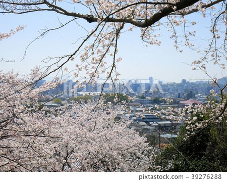 熊本市復興的春天(從立田山觀看) 熊本市復興的春天(從立田山觀看) 39276288