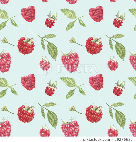 Hand drawn watercolor painting raspberry on white Hand drawn watercolor painting raspberry on white 39276683