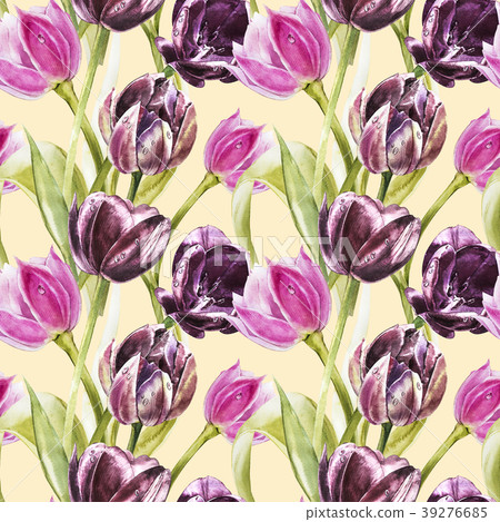 Flowers of Tulips. Watercolor hand drawn botanical Flowers of Tulips. Watercolor hand drawn botanical 39276685