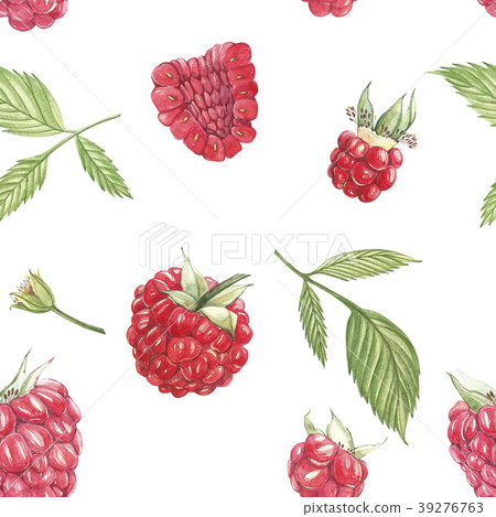 Hand drawn watercolor painting raspberry on white 39276763