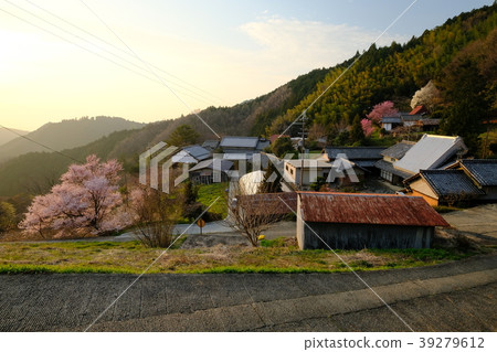 Spring in Yamasato (Asuka Village, Taka-shi, Nara Prefecture) 39279612