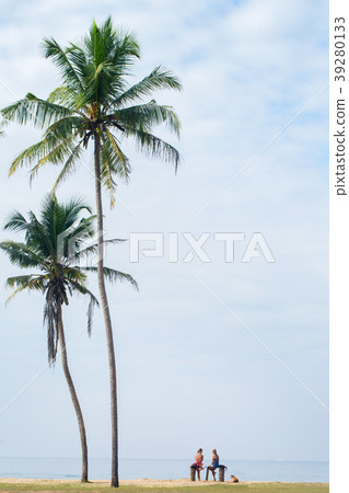 Two friends rest under the palm trees 39280133
