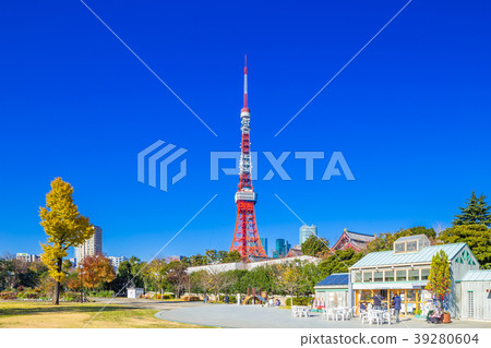 東京芝公園在秋天 東京芝公園在秋天 39280604