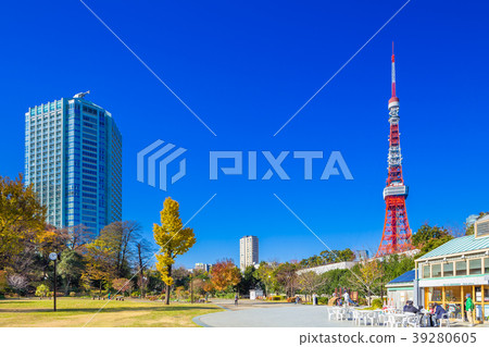 東京芝公園在秋天 東京芝公園在秋天 39280605